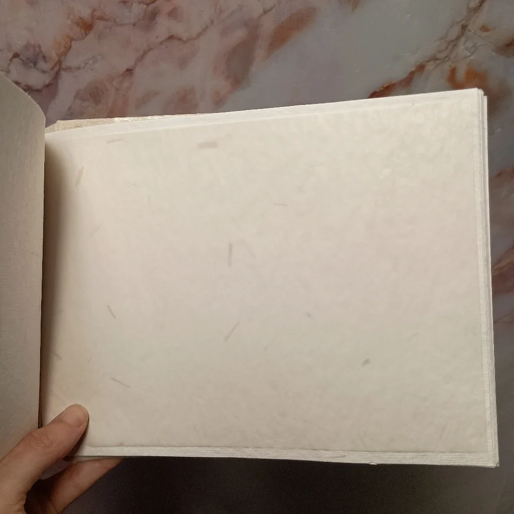 Vintage‎ Handmade India Recycled Pressed Floral Photo Album